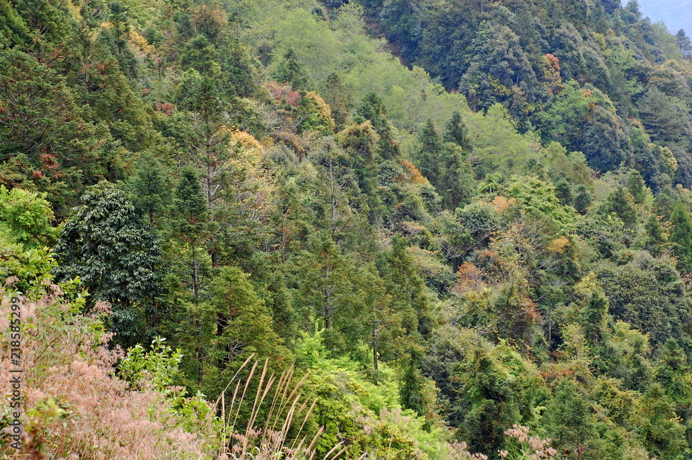 Landscapes in Spring in the mountains in Hsinchu, Taiwan