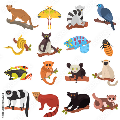 Madagascar unique animals color flat icons set