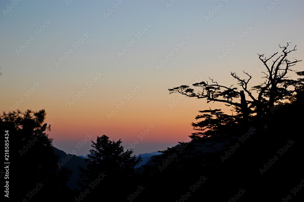 Sunrise with silhouette of trees in the mountains in Spring in Taiwan