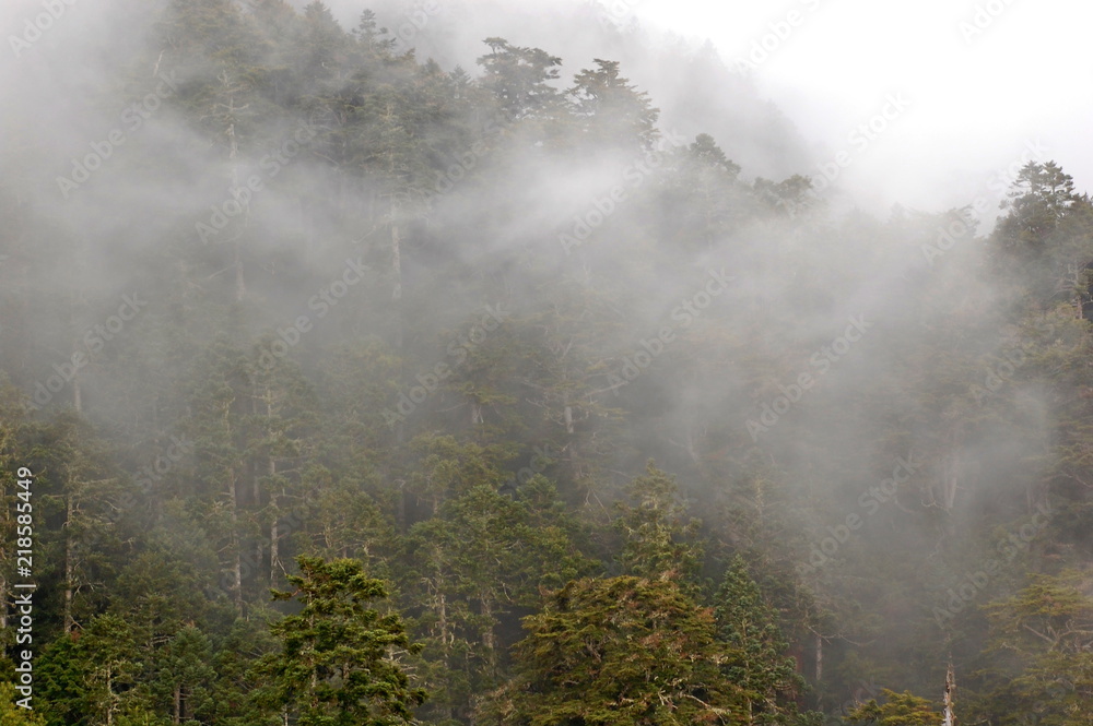 Fototapeta premium Landscapes in Spring in the mountains in Hsinchu, Taiwan