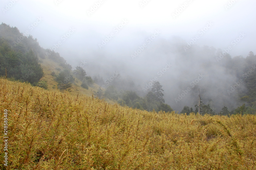 Landscapes in Spring in the mountains in Hsinchu, Taiwan Landscapes in Spring in the mountains in Hsinchu, Taiwan