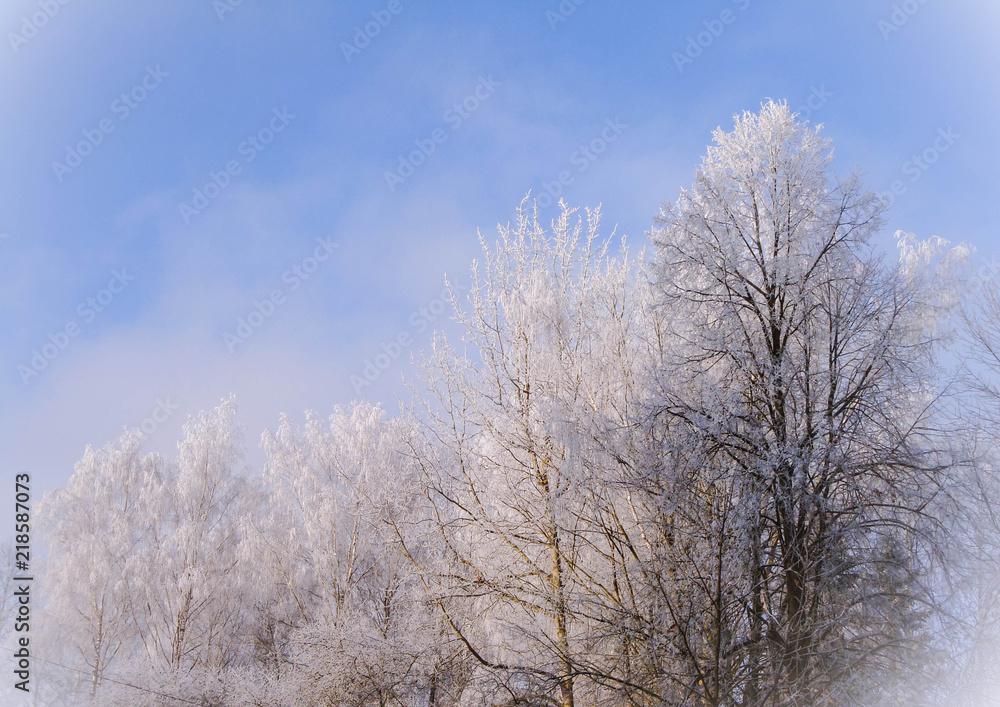 Hoarfrost