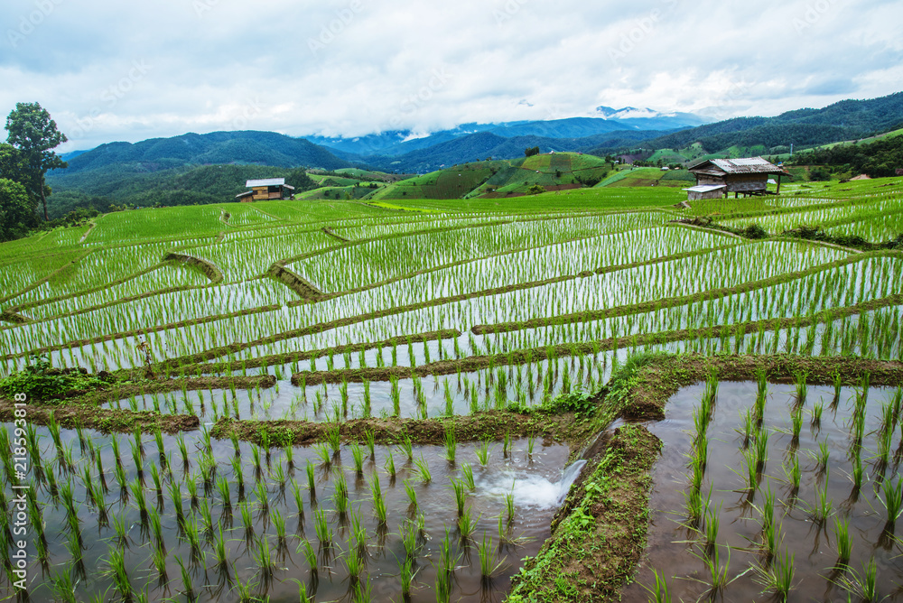 Landscape field on mountain. During the rainy season. The village in the countryside.