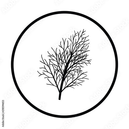 Dill icon