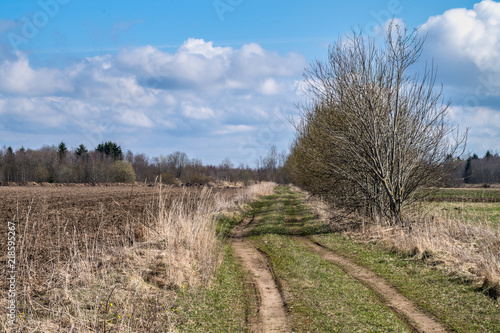 spring, road through the field