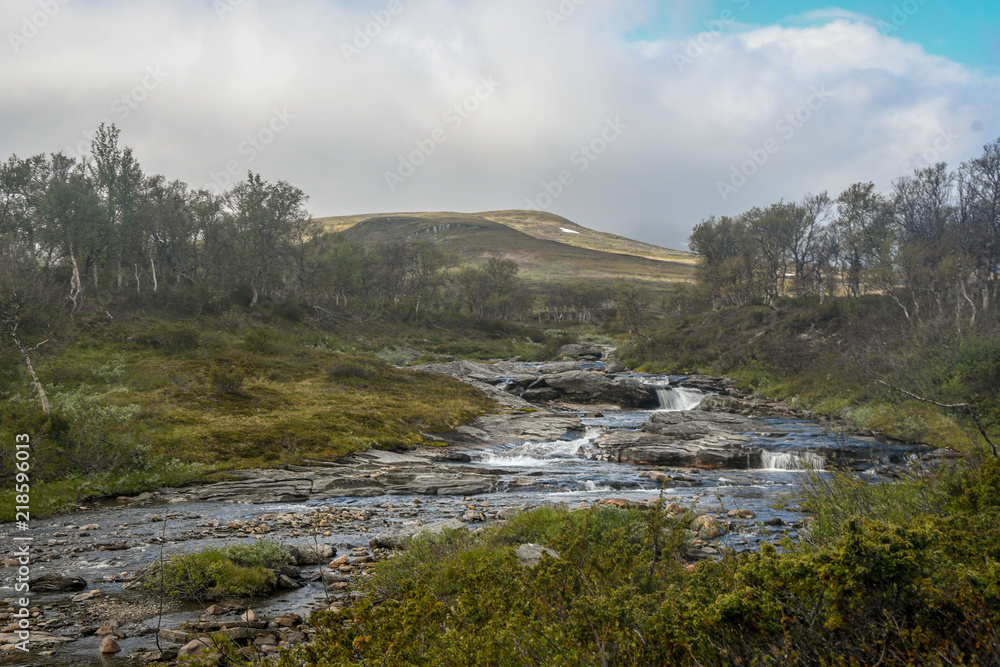 scenic view up in the swedish mountains