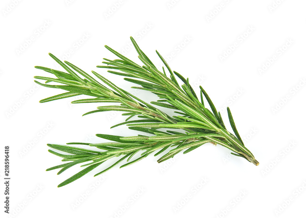 Fototapeta premium Rosemary isolated on white background