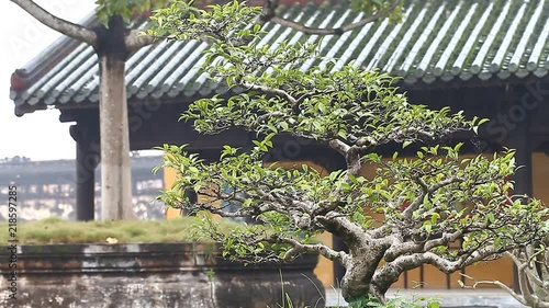 Vietnam. Imperial Royal Palace in Hue.The forbidden city of the emperors photo