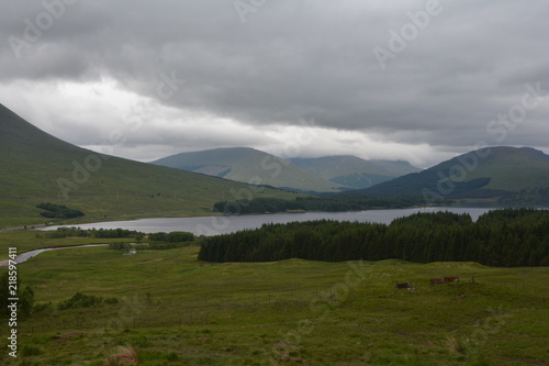 Scottish highlands18
