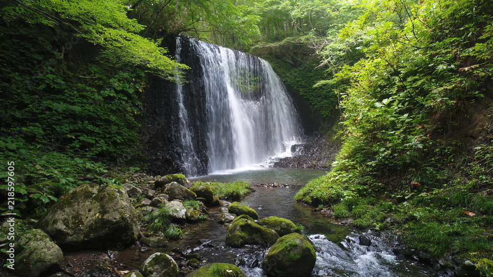 衣の滝 衣の滝