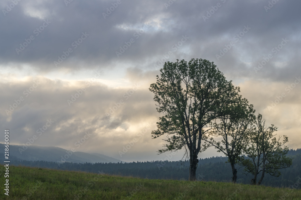 Obraz premium Bieszczadzki świt, Letni poranek w Bieszczadach