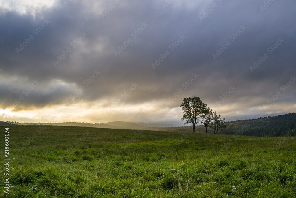 Obraz premium Bieszczadzki świt, Letni poranek w Bieszczadach