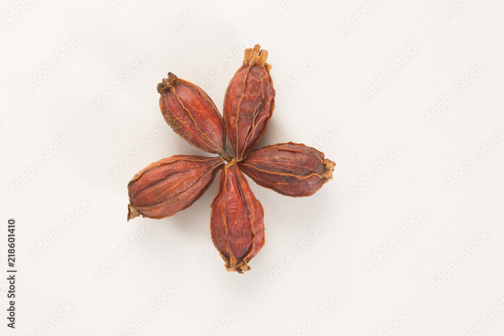 Traditional Chinese herbal health medicine ginseng. Traditional Chinese herbal health medicine ginseng.