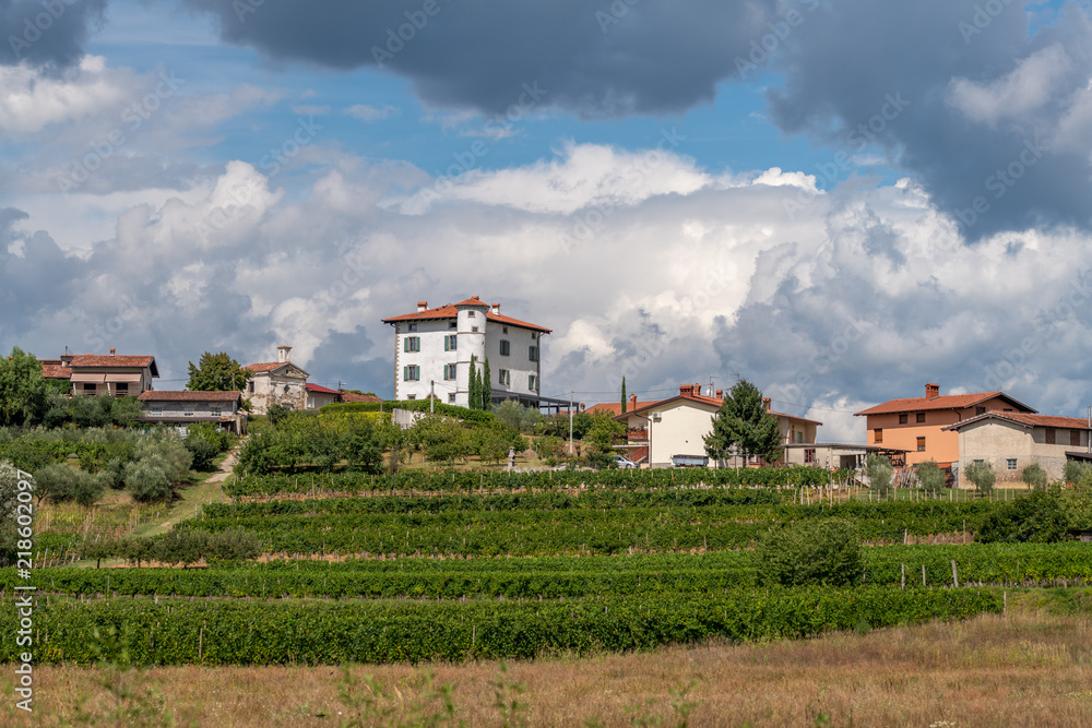 Village of Ceglo, also Zegla in famous Slovenian wine growing region of Goriska Brda, with vineyards and orchards, lit by sun and clouds in background