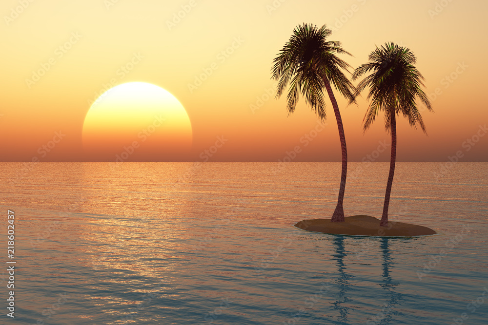 palms on the island against the sunset