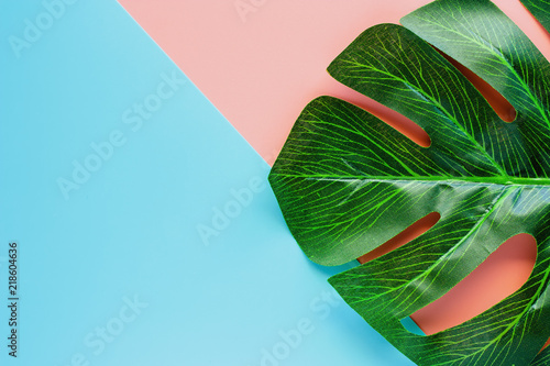 Green palm leaf on pink and...
