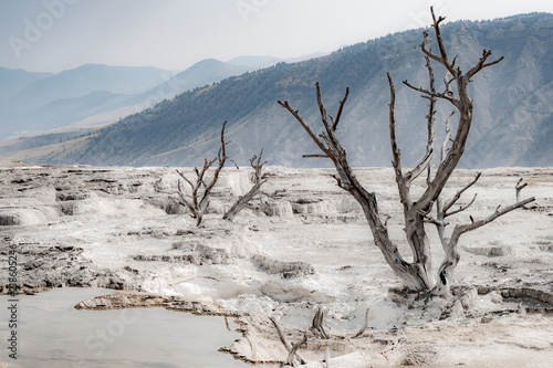 Mammoth Hot Springs, Yellowstone