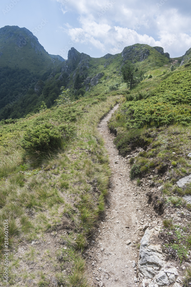 Fototapeta premium Beautiful mountain view from the entrances on the path to the Eho hut. The Troyan Balkan is exceptionally picturesque and offers a combination of wonderful mountain scenery, fresh air.