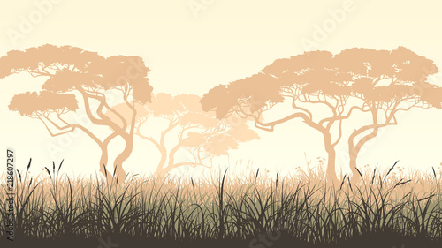 Horizontal illustration meadow grass and African acacia.