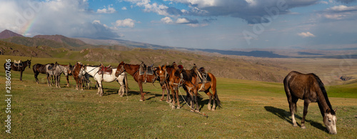 Kirgistan Kochkor Naryn © maren