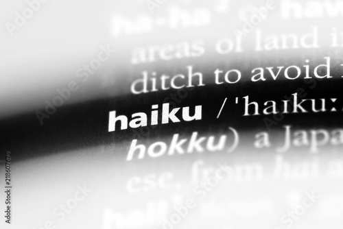 Fotografía haiku