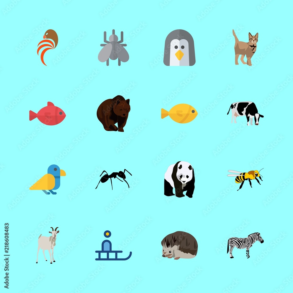 Obraz premium animal icons set. marine, gentoo, tropical and silhouette graphic works