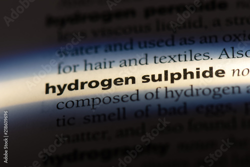 hydrogen sulphite