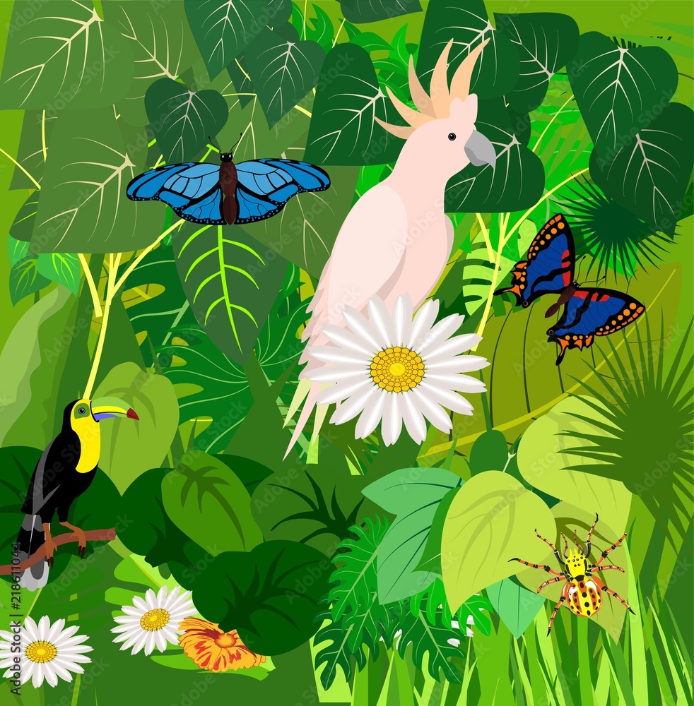 Jungle scene square illustration with bird of toucan, parrots, butterflies, exotic plants, rainforest fauna, vector illustration