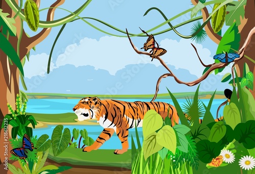 Jungle wildlife nature landscape background, vector illustration, tiger, butterflies
