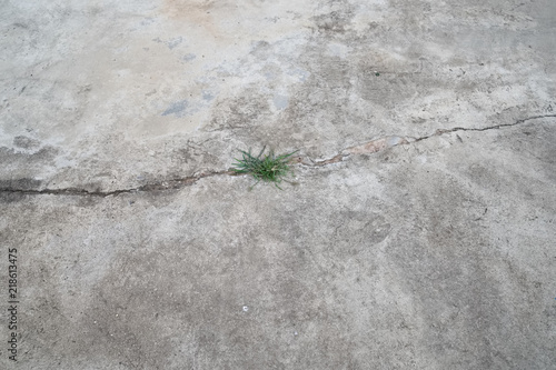 Grass and cracks in grunge concrete cement floor with crack in home building.