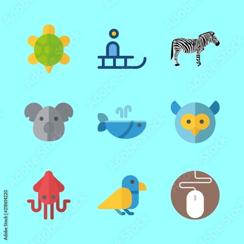 animal vector icons set. sleigh  whale  squid and zebra in this set