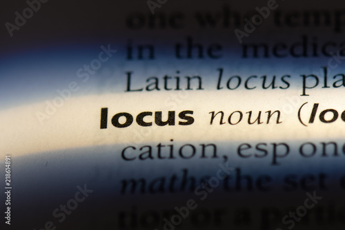 Bilde på lerret locus