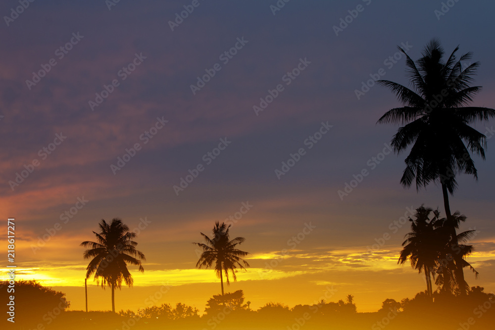 Silhouette of Coconut tree under gold sky on the beach.