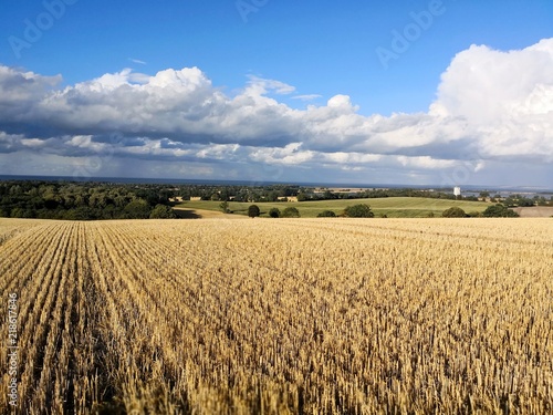 Probstei Hohwacht, Felder bei tollem Wetter