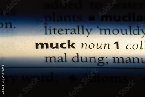 muck