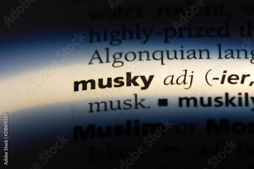 Tableau sur toile musky
