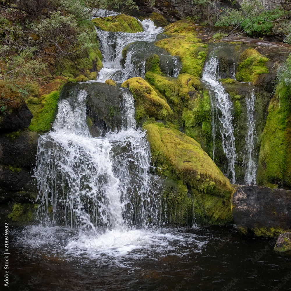 Fototapeta premium Waterfall