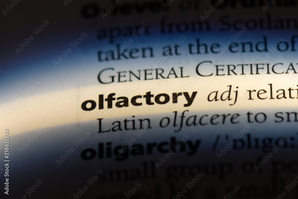 olfactory