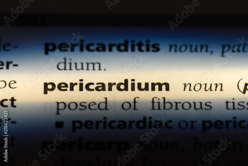 pericardium