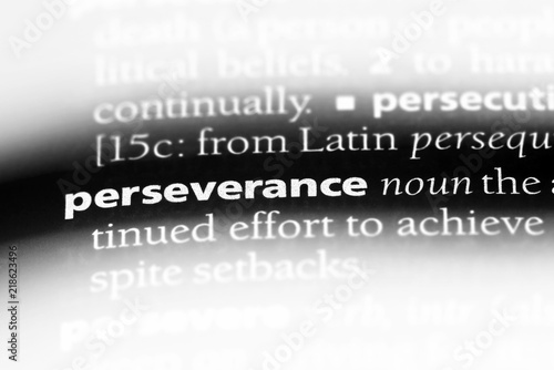 Принти на полотні perseverance