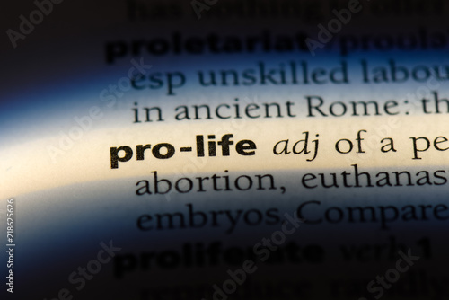 pro life photo