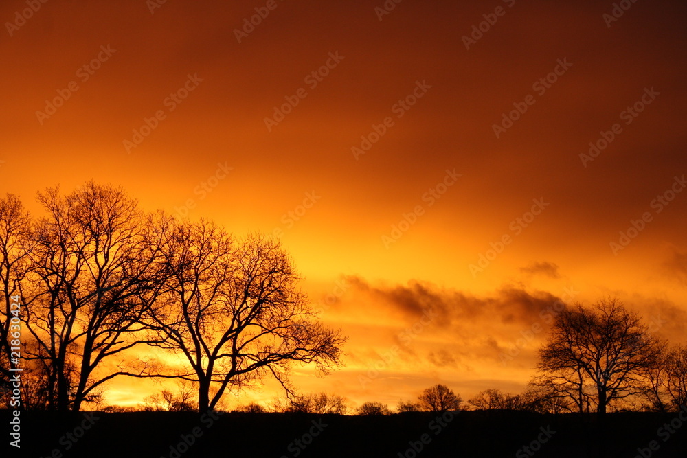 couché de soleil