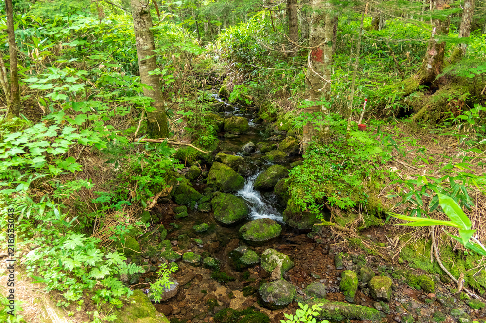 Fototapeta premium 乗鞍高原 三本滝