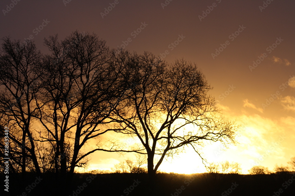 couché de soleil