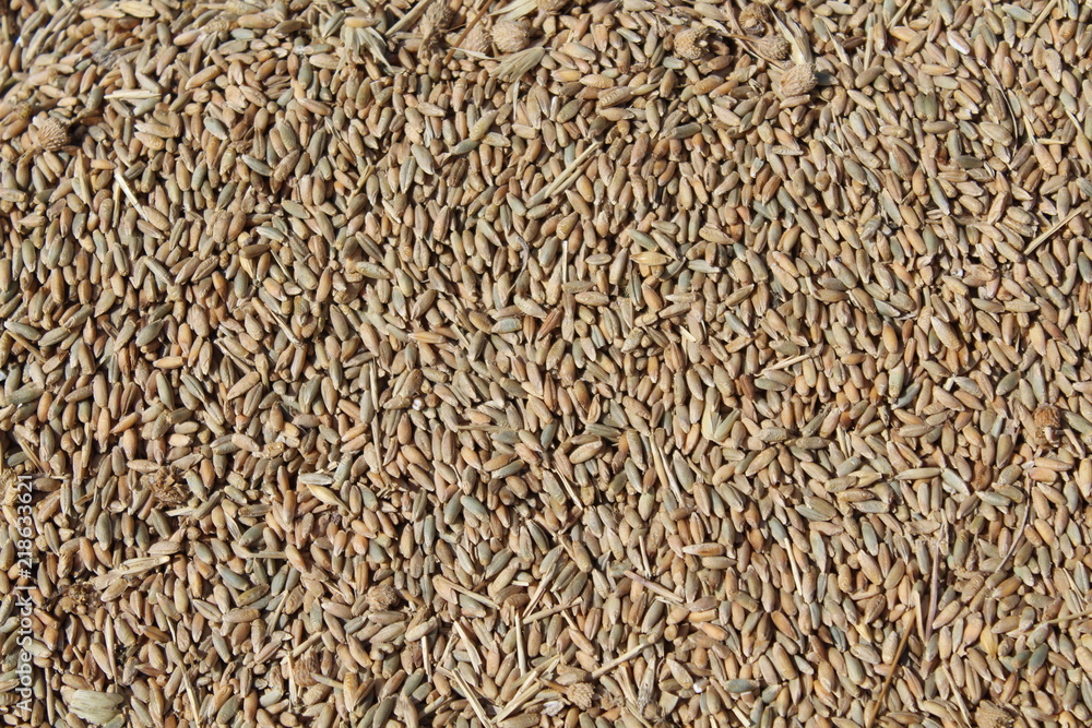 lots of delicious cereal drying to be ground