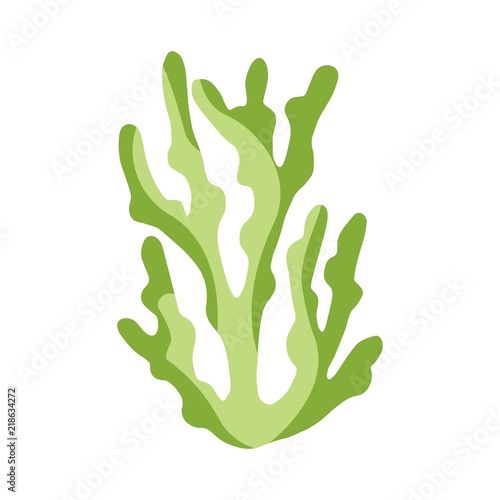 seaweed in isolation. aquarium plant underwater element.