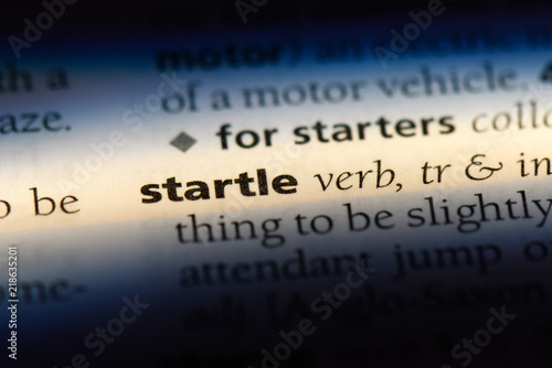 Принти на полотні startle
