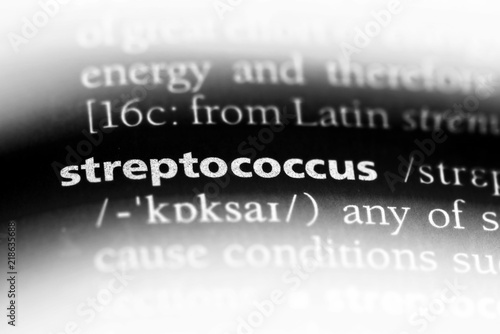 streptococcus