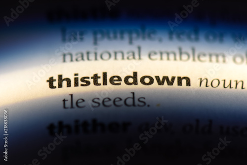 thistledown photo