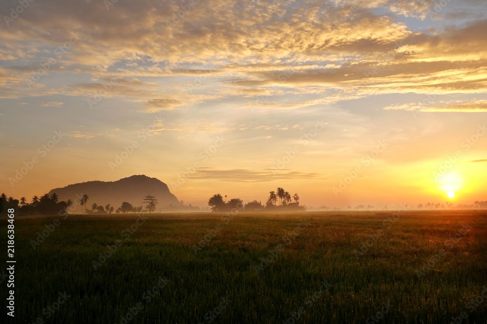 Landscape view of paddy fields,coconut tree,mountain during sunrise. Landscape view of paddy fields,coconut tree,mountain during sunrise.